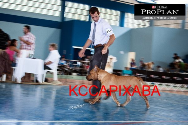 Clique sobre a foto para fechar